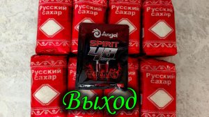 Angel Spirit 48 выход
