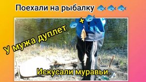 Поехали на рыбалку 🐟🐟🐟У мужа дуплет 🐟+🐟 Искусали муравьи.