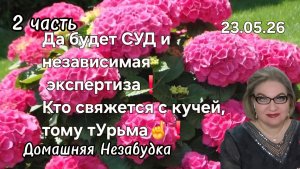 2 часть. Да будет СУД и независимая ЭКСПЕРТИЗА☝️❗️Кто свяжется с кучей ,тому тУрма💯❗️