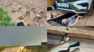 Собираемся в дорогу ,всё почти высадила ,ласточки поселились .