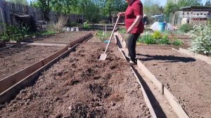 Посадки продолжаются,сегодня огурцы и клубнику сажаю.