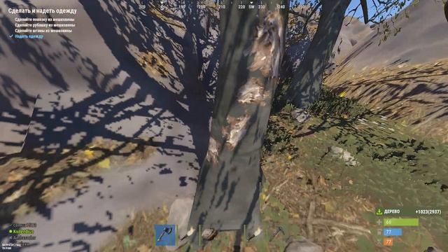 Rust. 2026 04 24 11 53 38 142