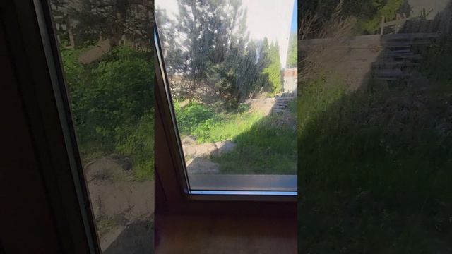 Зеленоградск Володарского 24