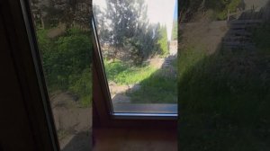 Зеленоградск Володарского 24