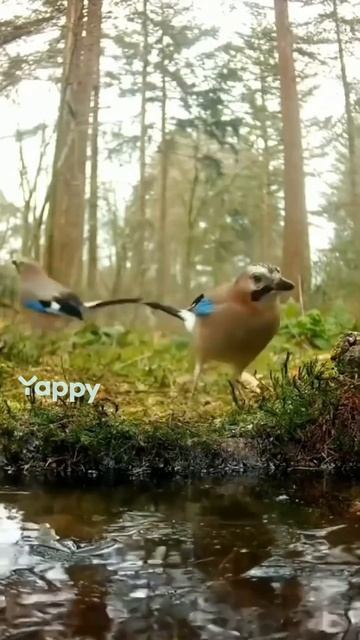 Красиво лучший отдых