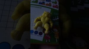 кот аказался браковыным не покупайте