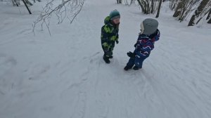 Катаемся на санках