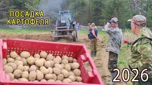 Синий трактор в деле: посадка картофеля под плуг - работаем дружной командой!