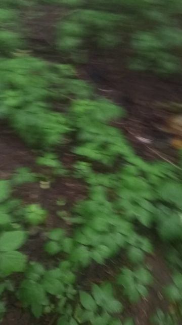 ну ок смотреть онлайн