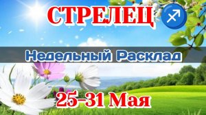 СТРЕЛЕЦ♐ Недельный расклад 25-31 МАЯ /Таро Прогноз/Сферы жизни