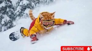 🐱❄️ Лыжное приключение маленького рыжего котенка становится ОПАСНЫМ! Мама-кошка спешит