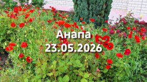 Анапа 23.05.2026