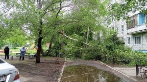 Упало дерево, прорвало колодец...  Подходы к школе - дорога жизни  Проблемы двора - кривое зеркало