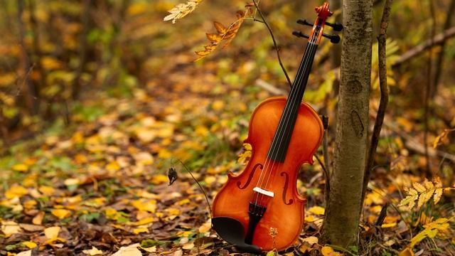 Классическая музыка | Скрипка музыка | Современная классика музыка