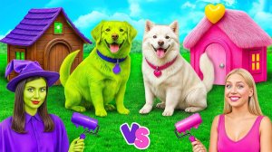 Домики для Собак Одного Цвета Челлендж # Смешные Моменты от Multi DO Girls