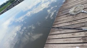 Карп
