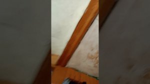 100 дней в деревне! скучно потом все веселее  скоро поставим бассейн ждите 2 серия злой парикмахер
