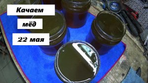 Свежий мёд 22 мая 26 года.