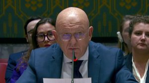 Василий Небензя назвал глумлением над детскими жертвами выступления представителей европейских стран