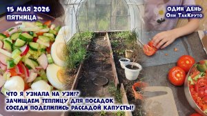 Что сказали на УЗИ? Зачищаем теплицу в саду под рассаду. 15 мая 2026. Дни с Олей ТакКруто
