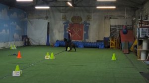 РО2. Садкова Наталья и Гранд Инфинити Саваж; Кубок Панды 2026 по Ралли Обиденс онлайн