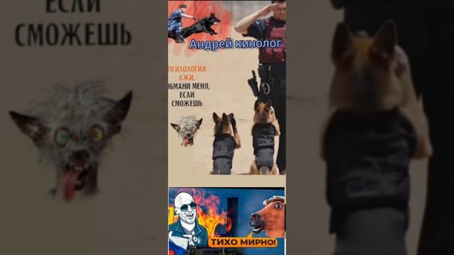 Воскресный Савелий