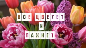 Какие красивые цветы! Все цветет!