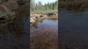 плаванье не по детски