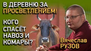 В деревню за просветлением! Кого спасёт навоз и комары? Интервью с Вячеславом Рузовым