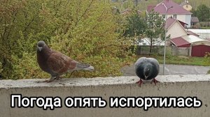 23-05-2026. Погода опять испортилась.