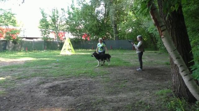 ПРК_Витязь Индиго смотреть онлайн