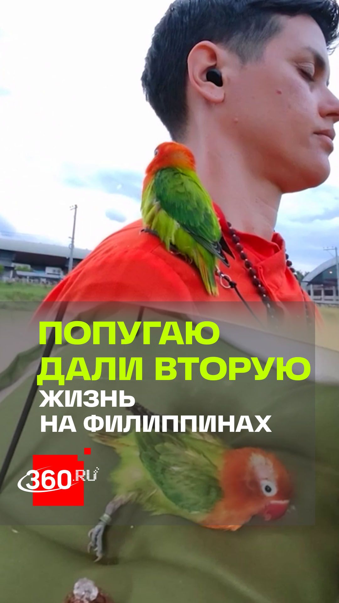 Парализованный попугай взлетел на Филиппинах – как?