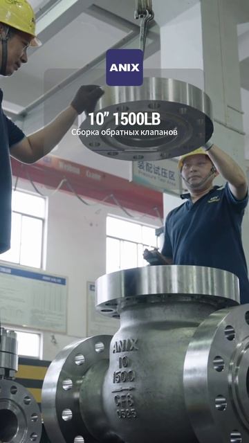 10'' 1500LB Сборка обратного клапана-ANIX