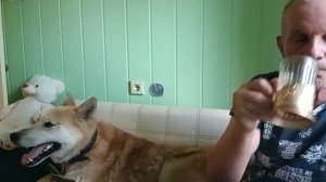 в 4 утра Дик пришел домой ‼️бегал всю ночь