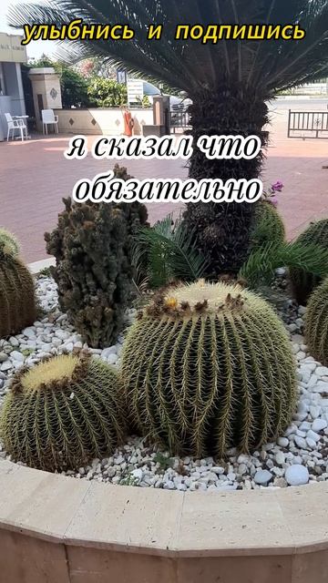 галерея