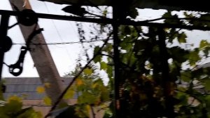 Непогода в Краснодаре сильные дожди, гром, молнии и ветер.mp4
