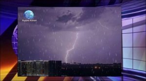Экстремальная непогода в Москве: есть ли пострадавшие, что известно
