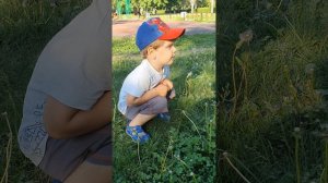 ИГРА НА СВЕЖЕМ ВОЗДУХЕ