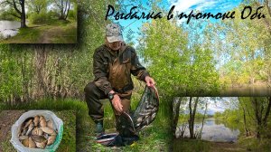 Клев карася перед ухудшением погоды.