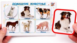 Учим домашних животных 🐮 Развивающее видео для детей | Первые слова