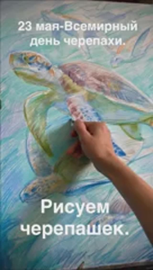 23 мая -день черепахи, рисуем черепах.