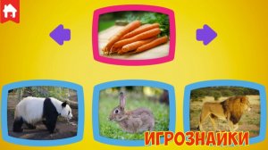 Сборник развивающих мини игр для детей.
