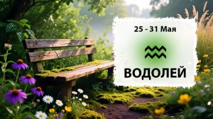ВОДОЛЕЙ ♒ 25 - 31 Мая 2026 | Расклад таро на неделю для знака Зодиака Водолей