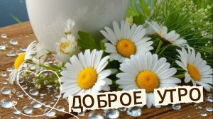 Доброе утро: вдохновляющая открытка со стихами и пожеланиями для всех, кто вам дорог | Домохозяйка