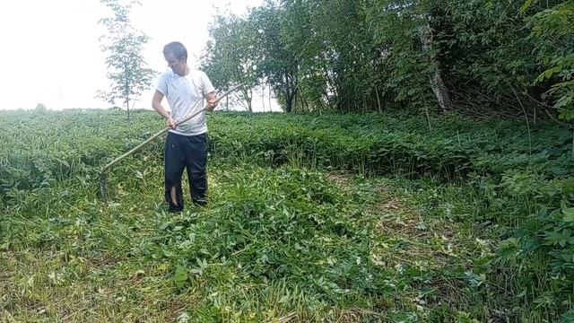 Испытываем дедушкину косу смотреть онлайн