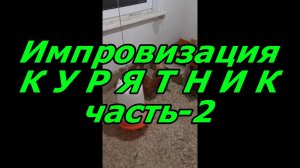 Импровизация Курятник часть-2