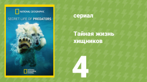 Тайная жизнь хищников 4 серия (документальный сериал, 2013)