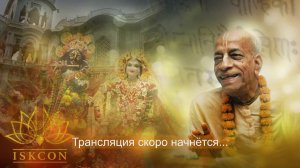 23.05.2026 || Шримад Бхагаватам 11.8.12 | Е.М. Кришна Чайтанья д.