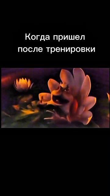 Тренировка