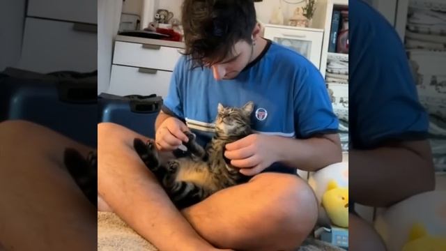 Видео от Tom and Сats / Кот на карте